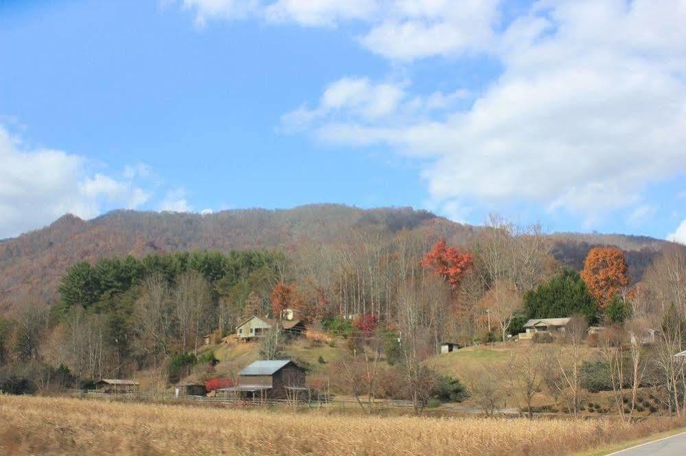 The Yellow House On Plott Creek Waynesville Exterior photo