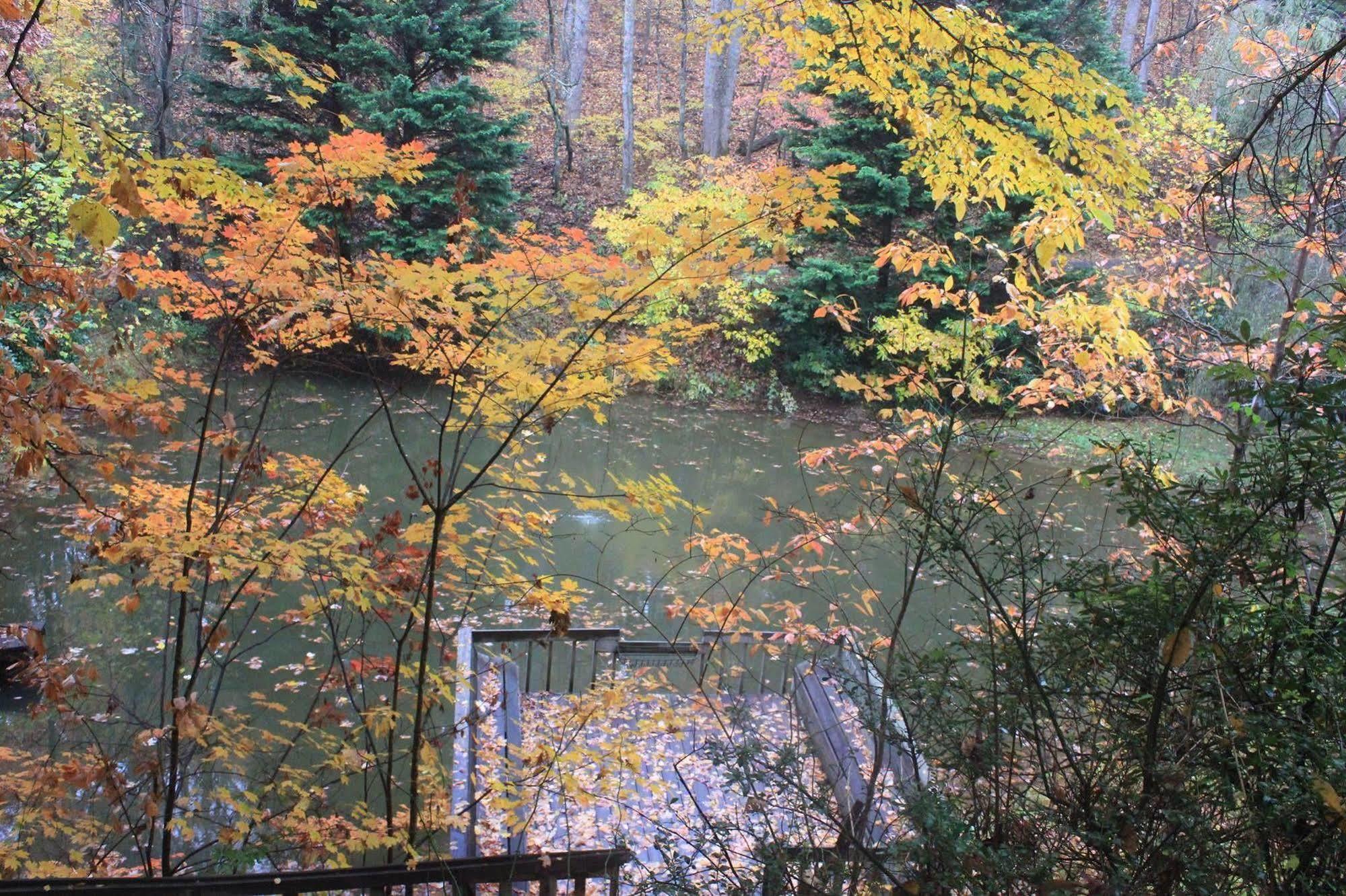 The Yellow House On Plott Creek Waynesville Exterior photo
