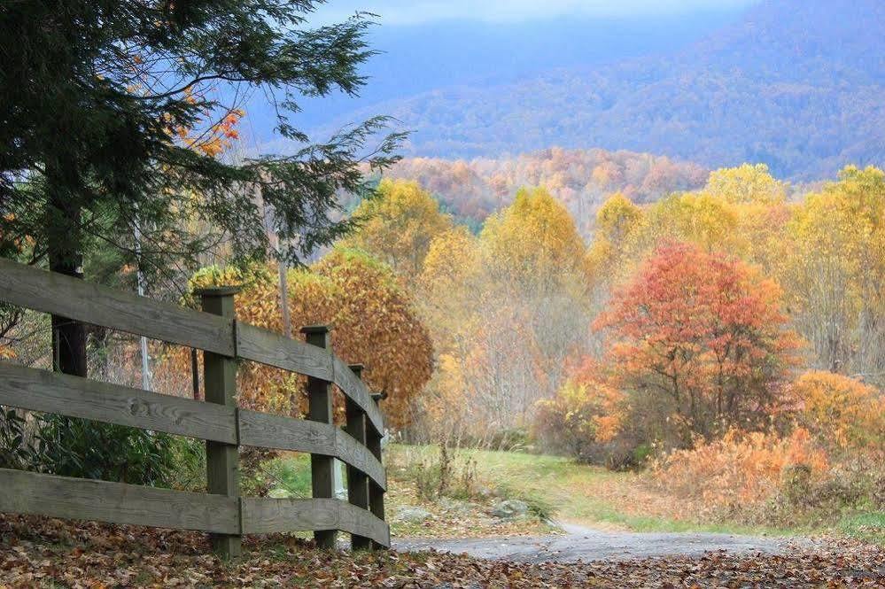 The Yellow House On Plott Creek Waynesville Exterior photo